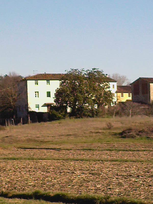 Verkauf Land, Lucca foto