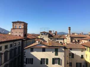 Sale Roomed, Lucca