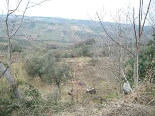 Sale Land, Castel Frentano