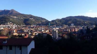 Vendita Quadrivani, Carrara