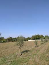 Rent Other properties, Pomigliano d'Arco