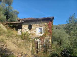 Sale Roomed, Dolceacqua