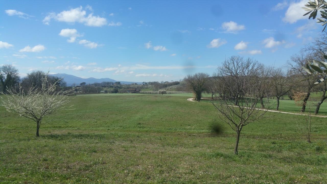 Vendita Terreni, Lugnano in Teverina foto