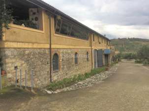 Affitto Bivani, Catanzaro