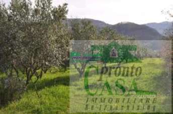 Vendita Terreno Agricolo, Chiaramonte Gulfi