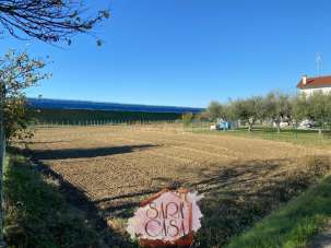 Vendita Terreno Agricolo, Faenza