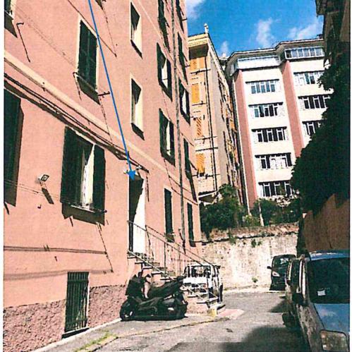 Vendita Esavani, Genova foto