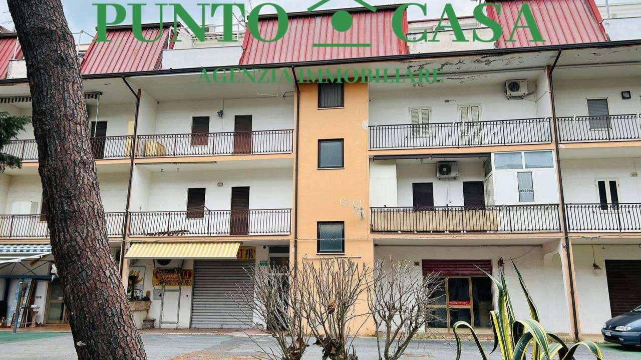 Rent affitto, Nocera Terinese foto