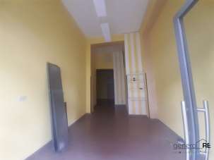 Rent Roomed, Pescara