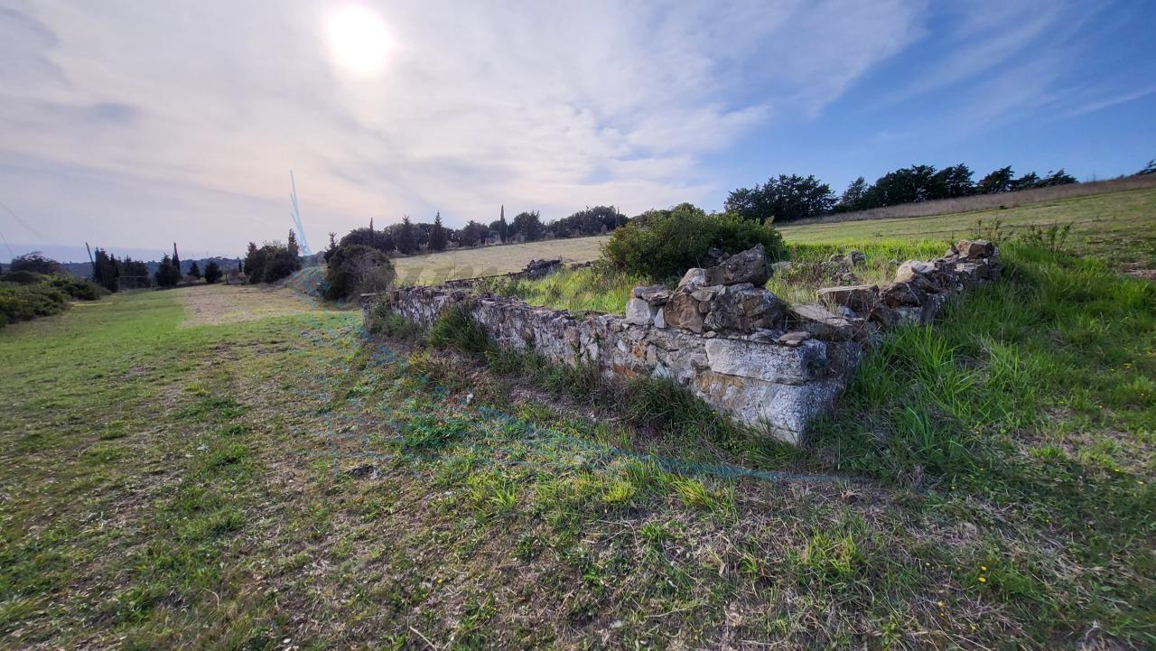 Località Traversa Livornese la Maestà 0mq