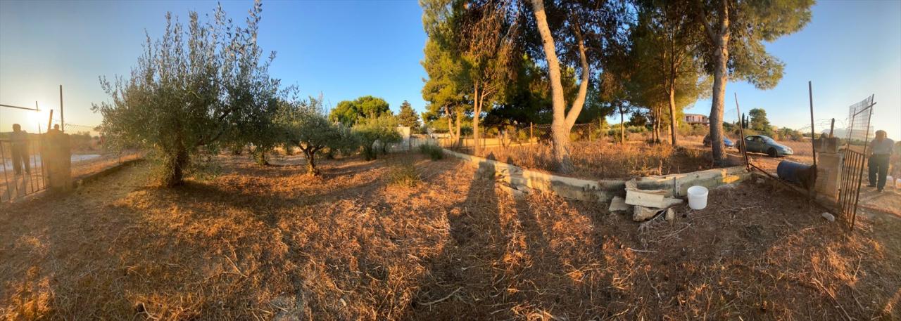 Vendita Terreno agricolo, Custonaci foto