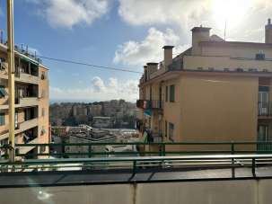 Venta Esavani, Genova