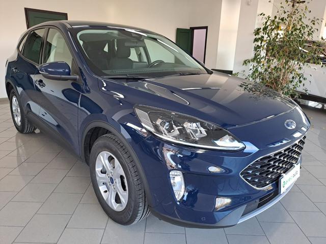 FORD Kuga 1.5 EcoBlue 120 CV 2WD Connect Diesel