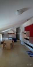 Rent Two rooms, Pesaro