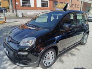 FIAT Panda Elettrica/Benzina 2024 usata, Cuneo