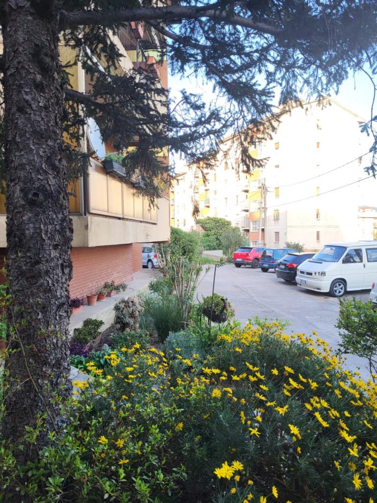 Vendita Appartamento, Trieste foto
