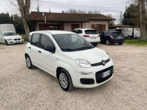 FIAT Panda Benzina/GPL 2019 usata, Forli-Cesena