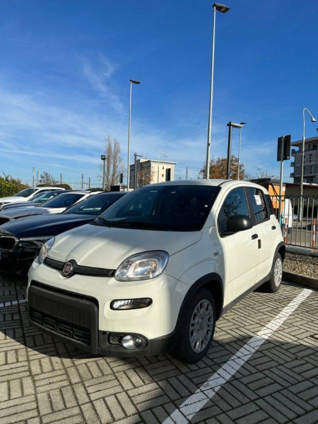 FIAT Panda 1.0 S&S Hybrid Van POP 2 posti IVA ESPOSTA Elettrica/Benzina