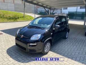 FIAT Panda Elettrica/Benzina usata, Italia