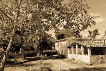 Sale Other properties, Sovicille