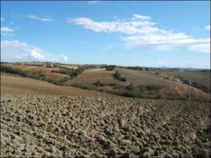 Verkauf Land, Castelbellino