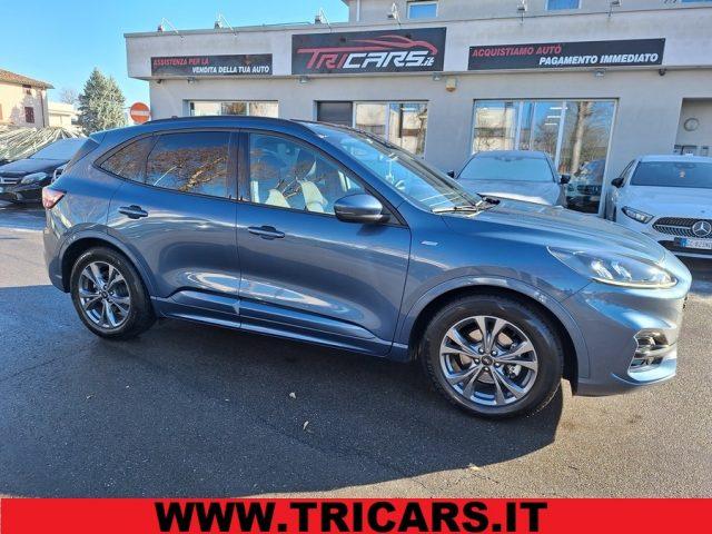 FORD Kuga 1.5 EcoBlue 120 CV 2WD ST-Line X PERMUTE TETTO Diesel
