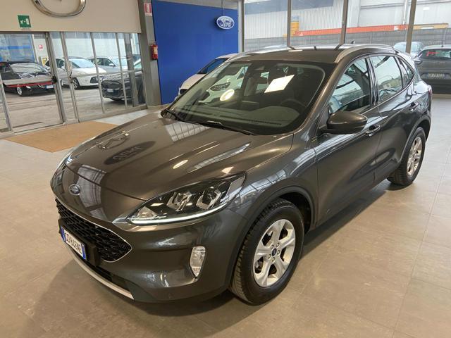 FORD Kuga 1.5 EcoBlue 120 CV aut. Connect Diesel