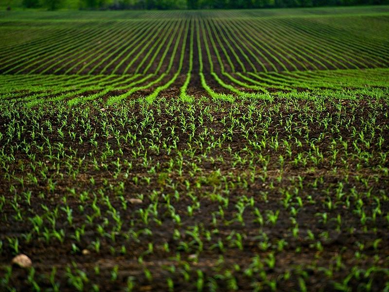 Venda Outras propriedades, Valbrona foto