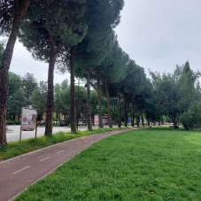 Venta Multivani, Arezzo