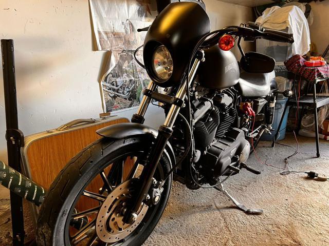 MOTOS-BIKES Harley Davidson 883 Benzina