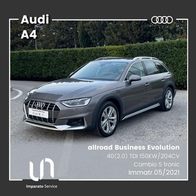 AUDI A4 allroad (40) 2.0 TDI S tronic Business Evolution Elettrica/Diesel