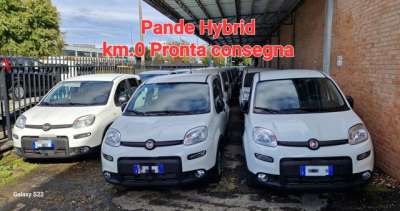 FIAT Panda Elettrica/Benzina 2023 usata, Pesaro e Urbino