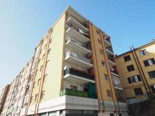 Rent Roomed, Trieste