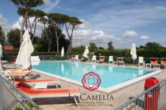Sale Other properties, Camaiore
