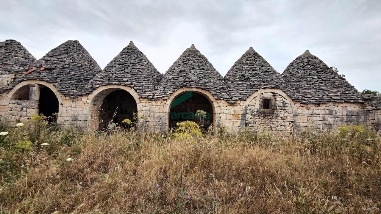 Venda Multivani, Conversano foto