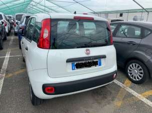 FIAT Panda Benzina 2018 usata, Arezzo