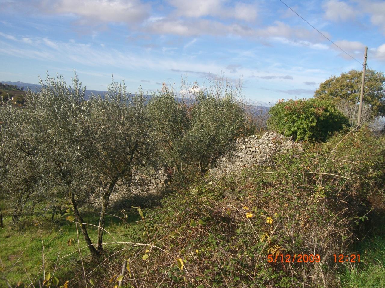 Verkoop Land, Lugnano in Teverina foto