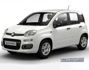 FIAT Panda Benzina/GPL 2024 usata