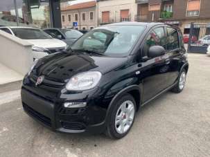 FIAT Panda Benzina/GPL 2024 usata