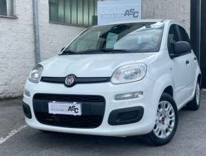 FIAT Panda Benzina 2016 usata, Cuneo