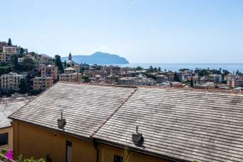 Vente Trivani, Genova