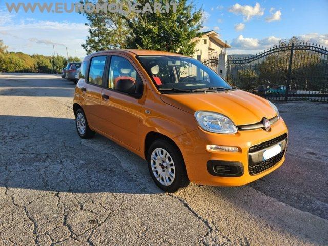 FIAT Panda Benzina 2018 usata, Campobasso foto