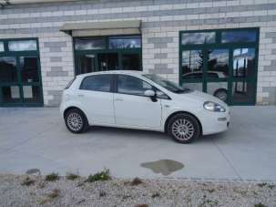 FIAT Punto Benzina 2014 usata, Foggia