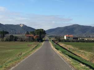 Vendita Trivani, Castiglione della Pescaia