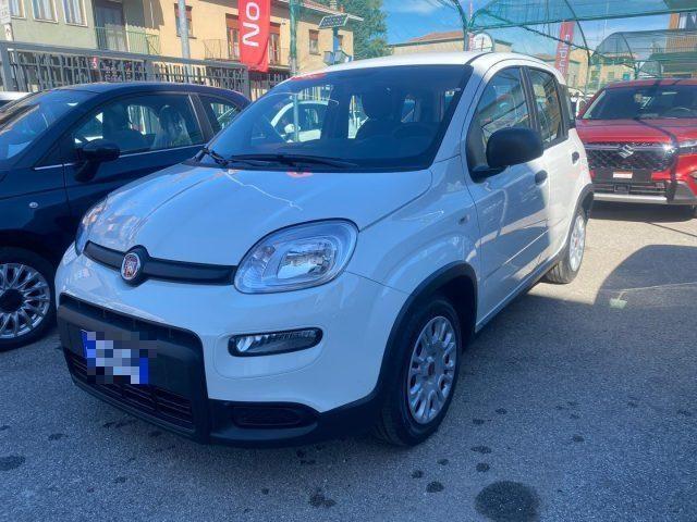 FIAT Panda Benzina/GPL 2024 usata foto