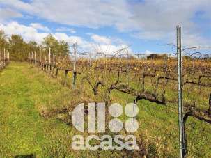 Vendita Terreno Agricolo, Cesena