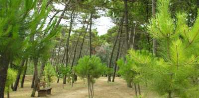 Vendita Terreno Residenziale, Cervia