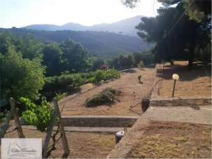 Vendita vendita, Campo nell'Elba