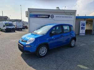 FIAT Panda Elettrica/Benzina usata