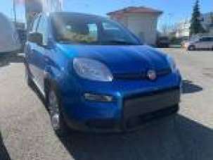 FIAT Panda Benzina/Metano 2023 usata